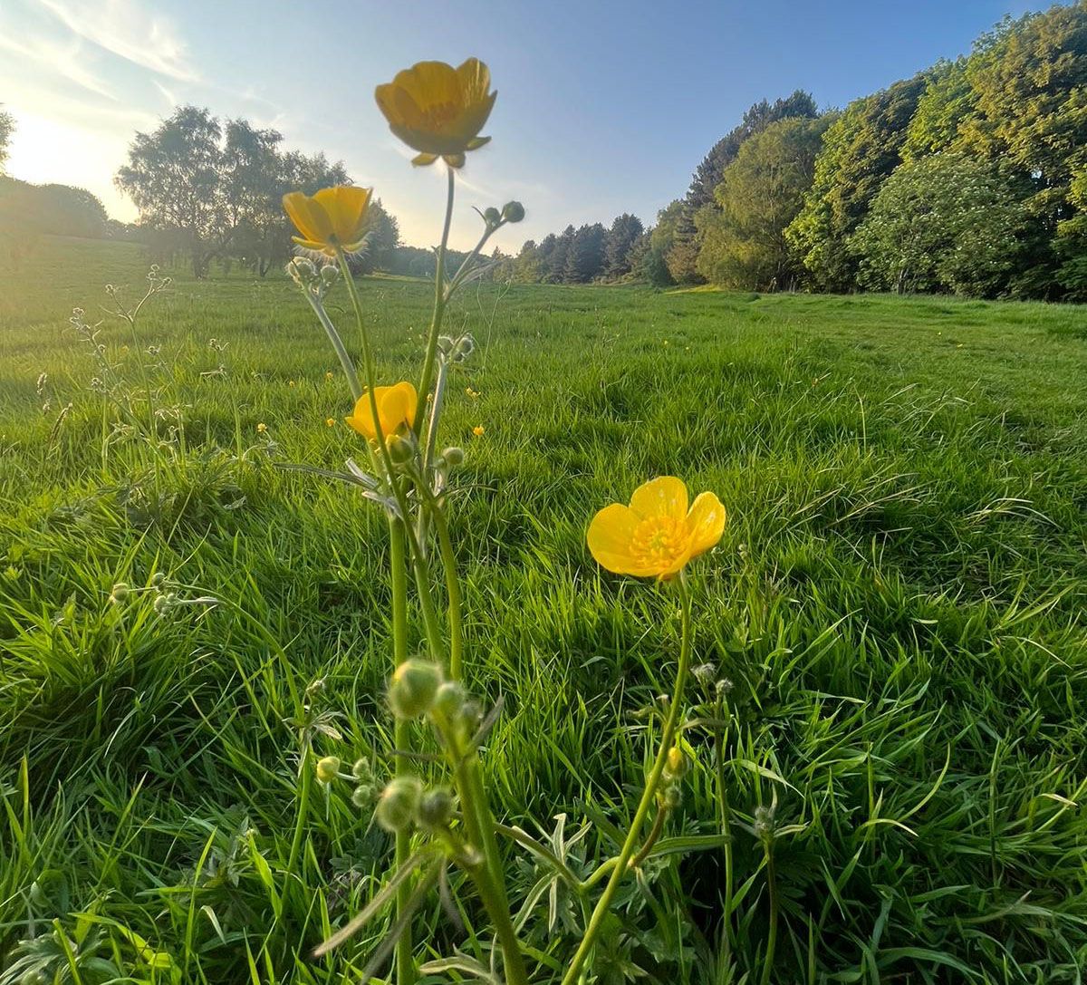 Connecting with Nature